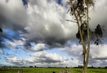 热刺智取对手，以稳固防线守住胜果