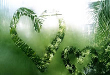 立陶宛选手在拳台上闪耀：技惊四座，挺进前八的荣耀之路